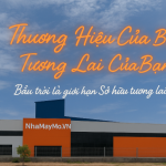 Các yếu tố quyết định thành công của mỡ thương hiệu riêng